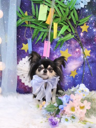 20250713アリューくん